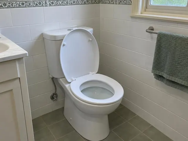 Clean white toilet in a tiled bathroom with towel rail and vanity in Cammeray